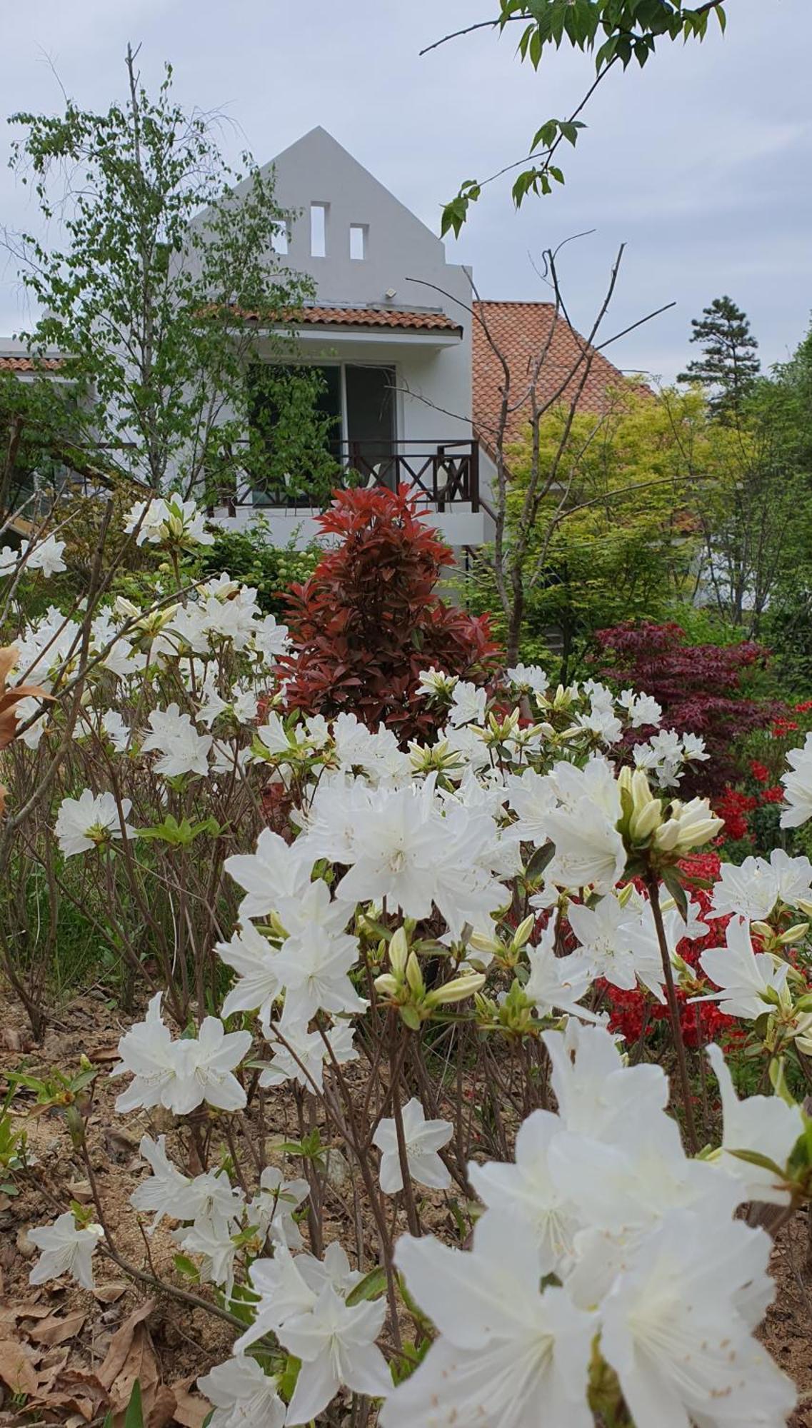 Saint Paul De Vence Holiday home Damyang