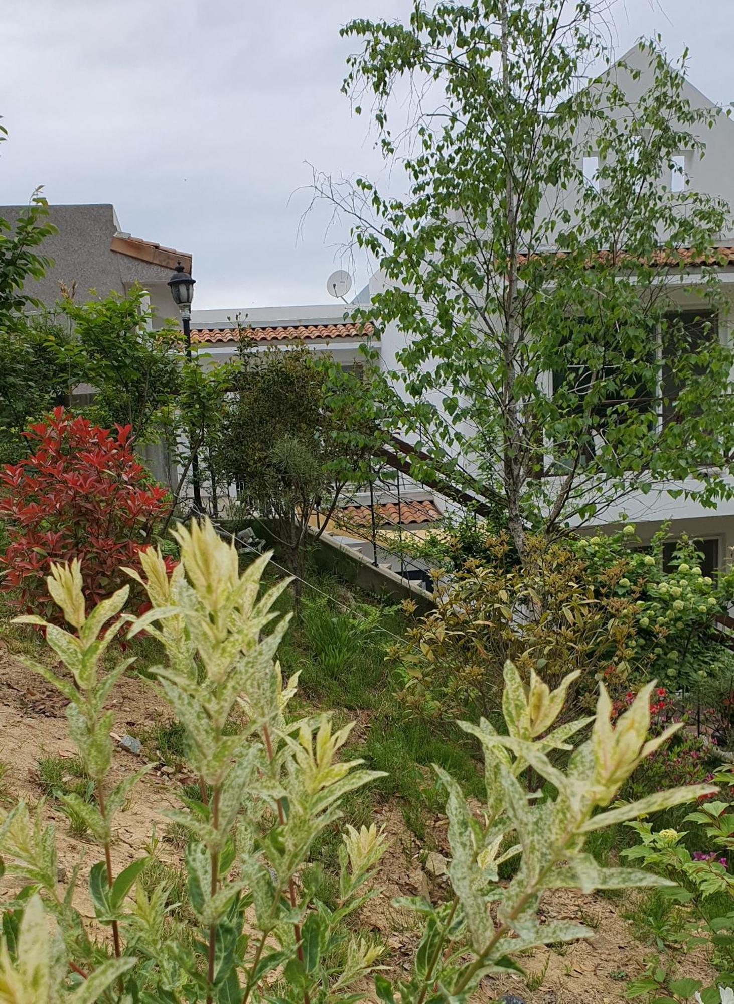 Saint Paul De Vence Holiday home