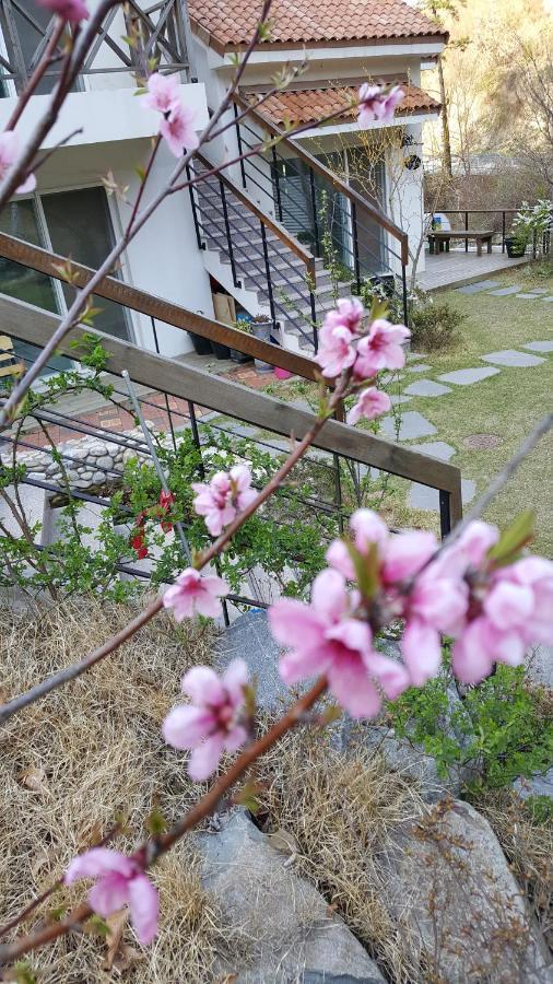 Holiday home Saint Paul De Vence
